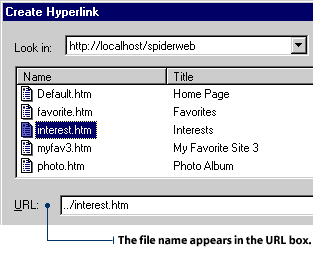 The name of the file will appear in the URL box.